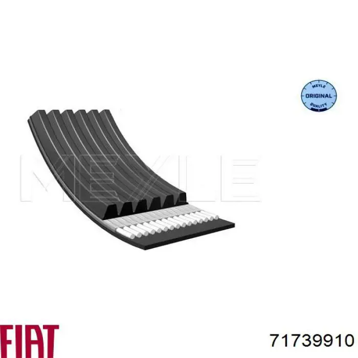 Клиновий ремінь Fiat/Alfa/Lancia 71739910 ціна, від 12.94 USD