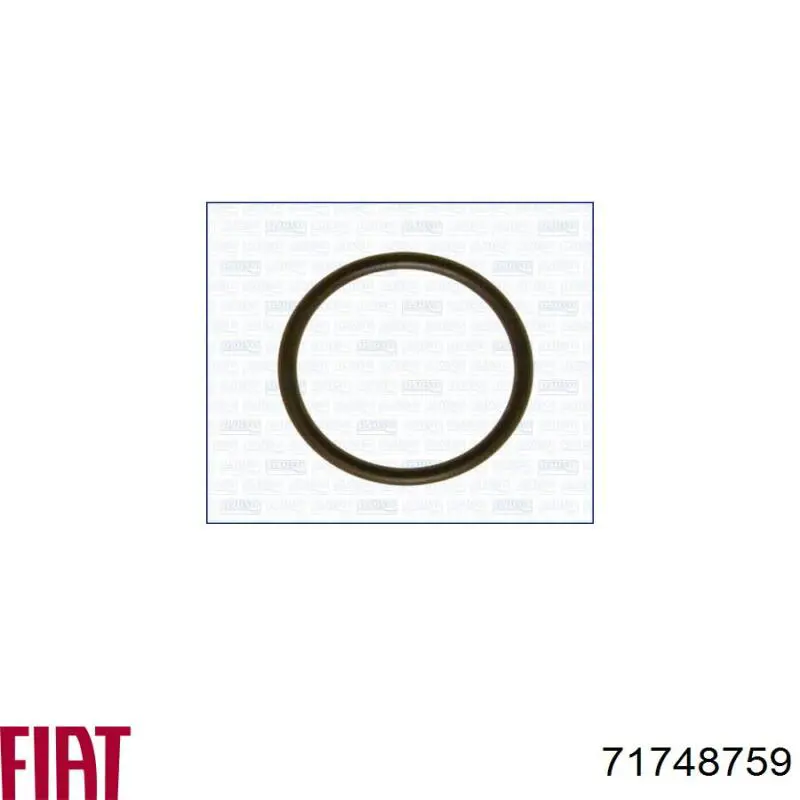 Прокладка впускного колектора Fiat/Alfa/Lancia 71748759 ціна, від 1.44 USD