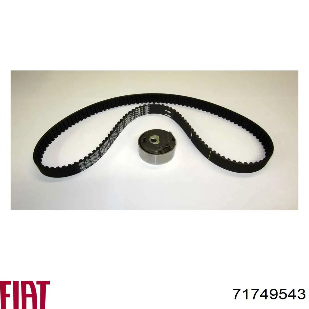 Купити 71749543 Fiat/Alfa/Lancia 