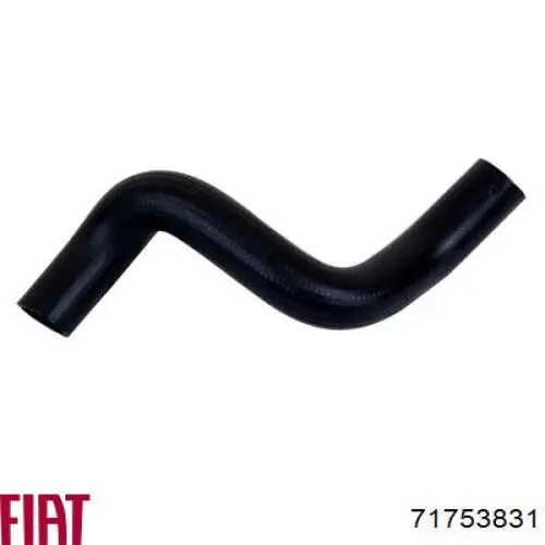 Головка двигуна Fiat/Alfa/Lancia 71753831 ціна, від 276.50 USD