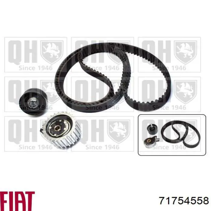 Комплект ГРМ Fiat/Alfa/Lancia 71754558 ціна, від 99.96 USD