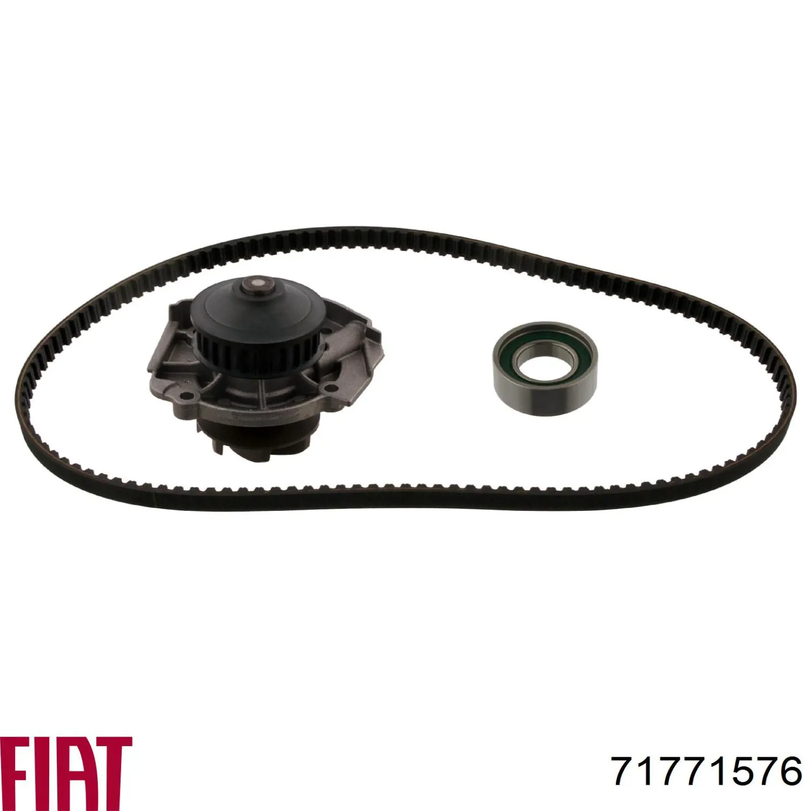 Комплект ГРМ Fiat/Alfa/Lancia 71771576 ціна, від 49.24 USD