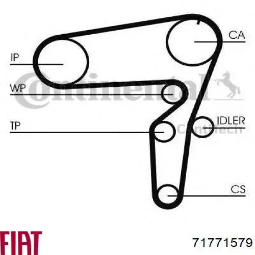 Купити 71771579 Fiat/Alfa/Lancia ГРМ ремень