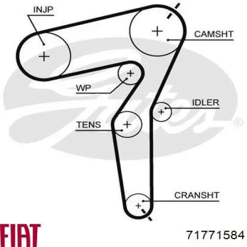 Купити 71771584 Fiat/Alfa/Lancia ГРМ ремень