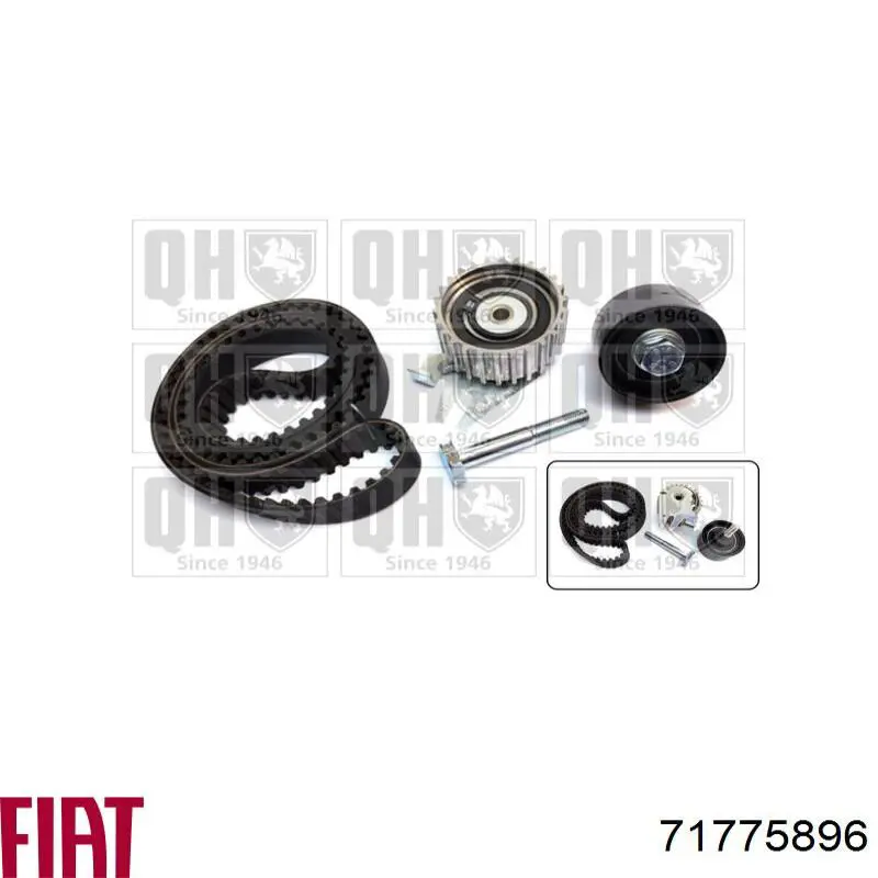 Купити 71775896 Fiat/Alfa/Lancia ГРМ ремень