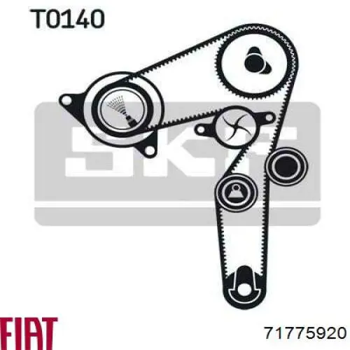 Купити 71775920 Fiat/Alfa/Lancia ГРМ ремень