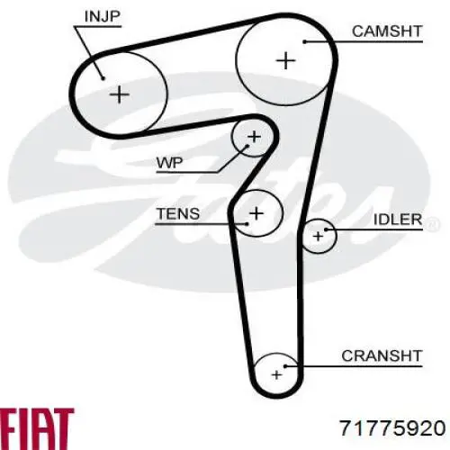 Комплект ГРМ Fiat/Alfa/Lancia 71775920 ціна, від 129.01 USD