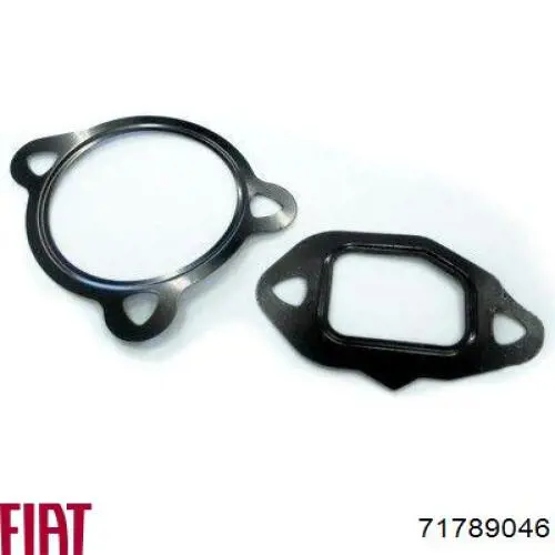 Клапан EGR Fiat/Alfa/Lancia 71789046 ціна, від 16.87 USD