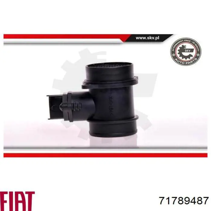 Купити 71789487 Fiat/Alfa/Lancia Повітромір