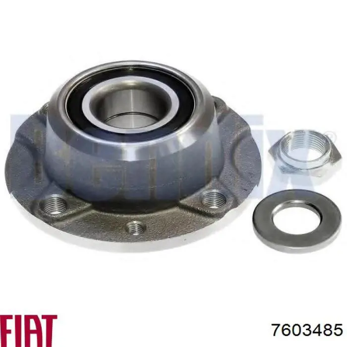 Маточини задніх коліс Fiat/Alfa/Lancia 7603485 ціна, від 26.60 USD