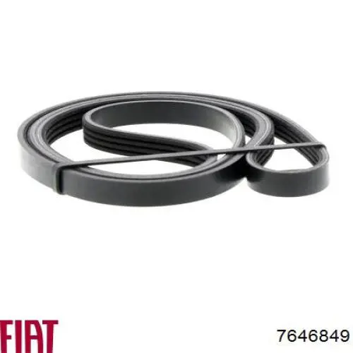 Клиновий ремінь Fiat/Alfa/Lancia 7646849 ціна, від 7.34 USD
