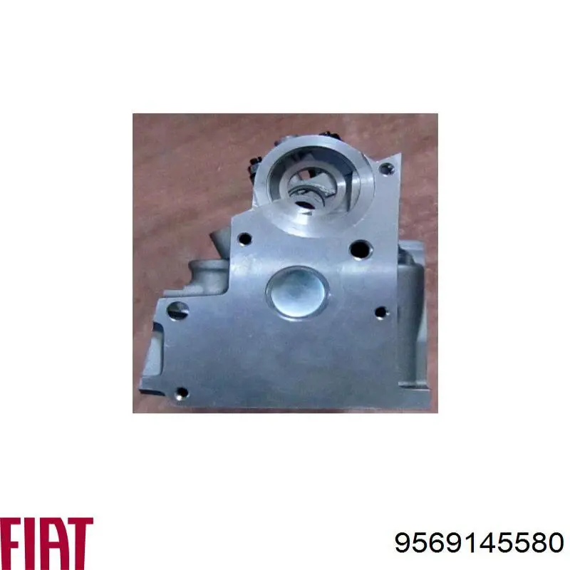 Купити 9569145580 Fiat/Alfa/Lancia Головка блоку