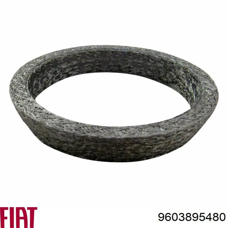 Купити 9603895480 Fiat/Alfa/Lancia Прокладка штанів