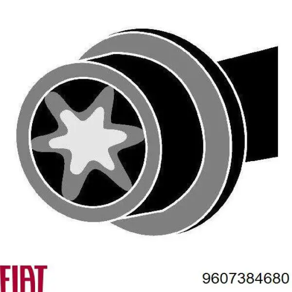 9607384680 Fiat/Alfa/Lancia Болт кріплення головки блоку циліндрів