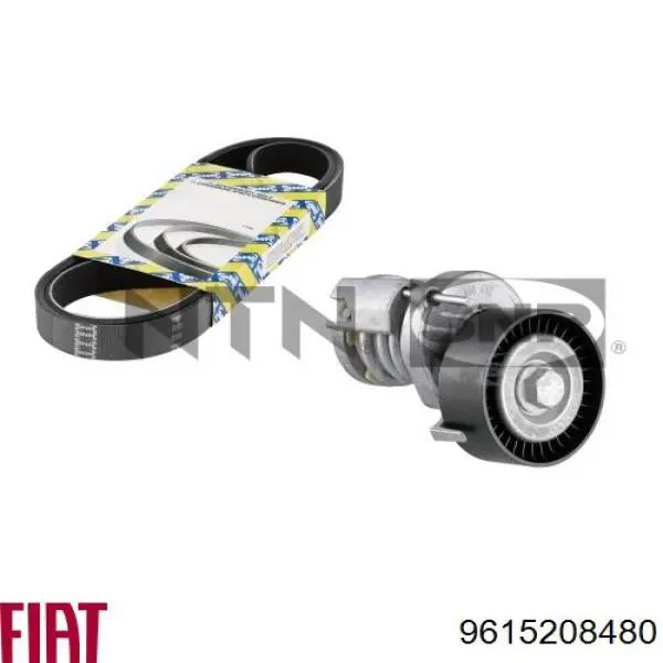 Ремінь кондиціонера Fiat/Alfa/Lancia 9615208480