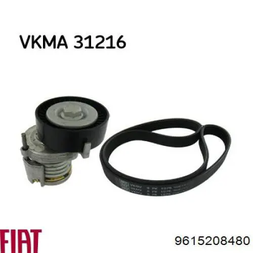 Купити 9615208480 Fiat/Alfa/Lancia Ремінь генератора