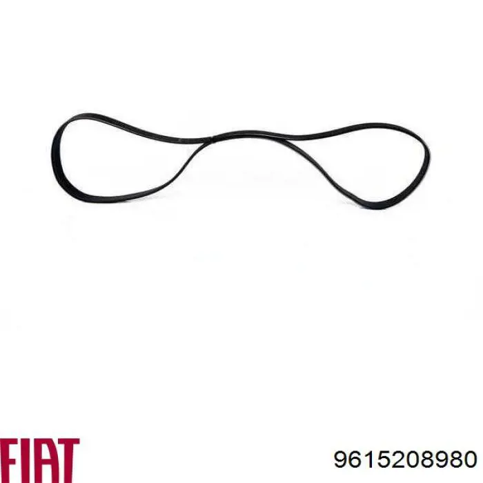 Клиновий ремінь Fiat/Alfa/Lancia 9615208980 ціна, від 9.40 USD