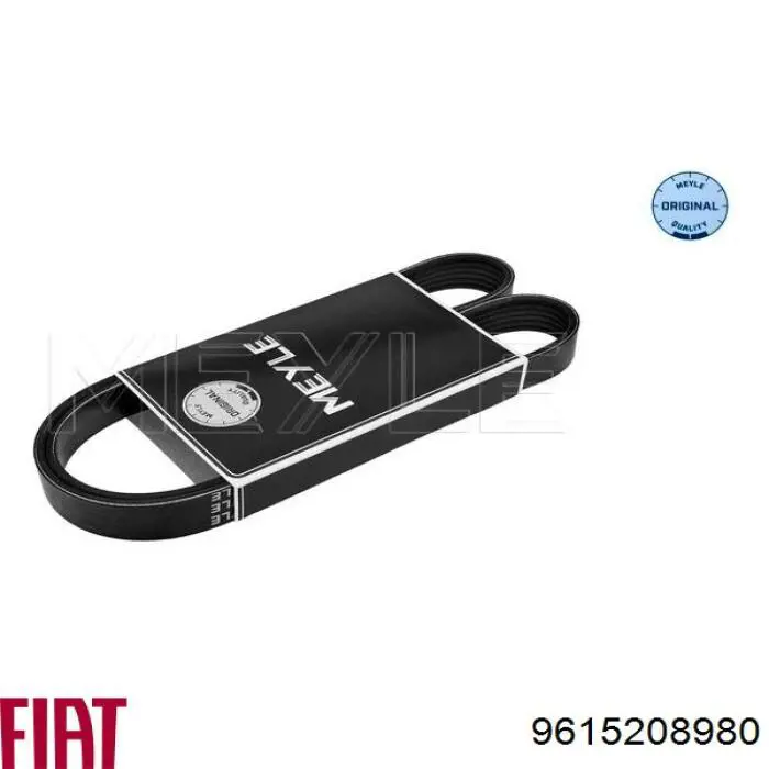 Купити 9615208980 Fiat/Alfa/Lancia Ремінь генератора