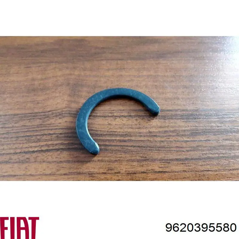 Купити 9620395580 Fiat/Alfa/Lancia 
