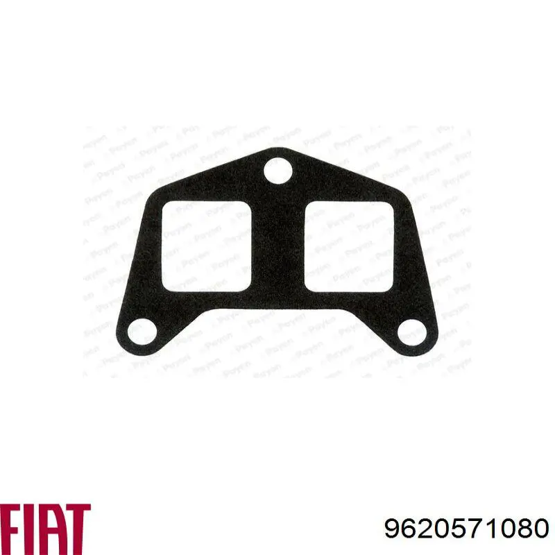 Прокладка впускного колектора 9620571080 Fiat/Alfa/Lancia