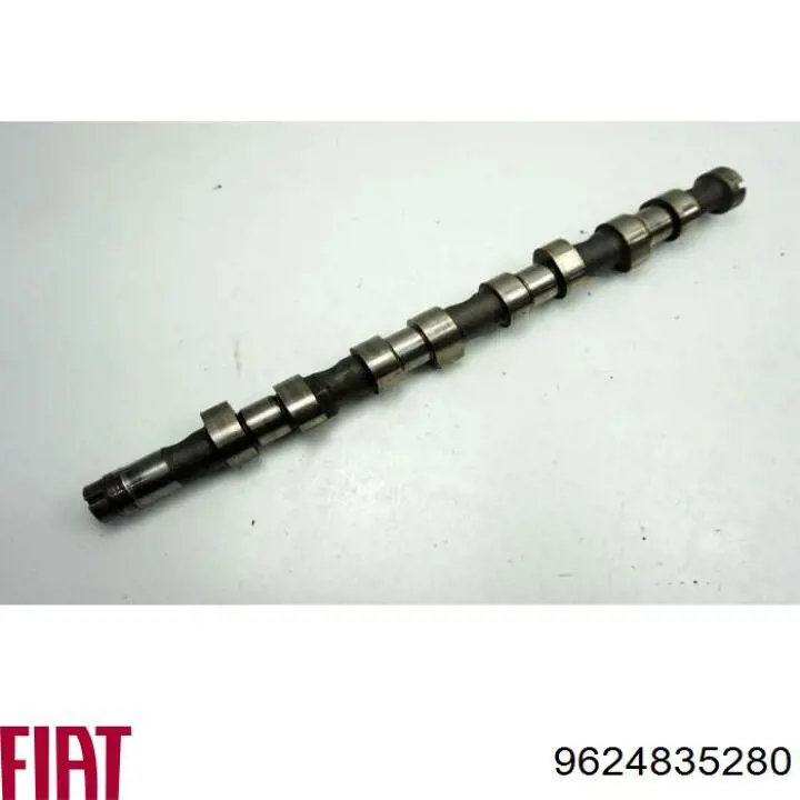 Купити 9624835280 Fiat/Alfa/Lancia Розподільчий вал двигуна