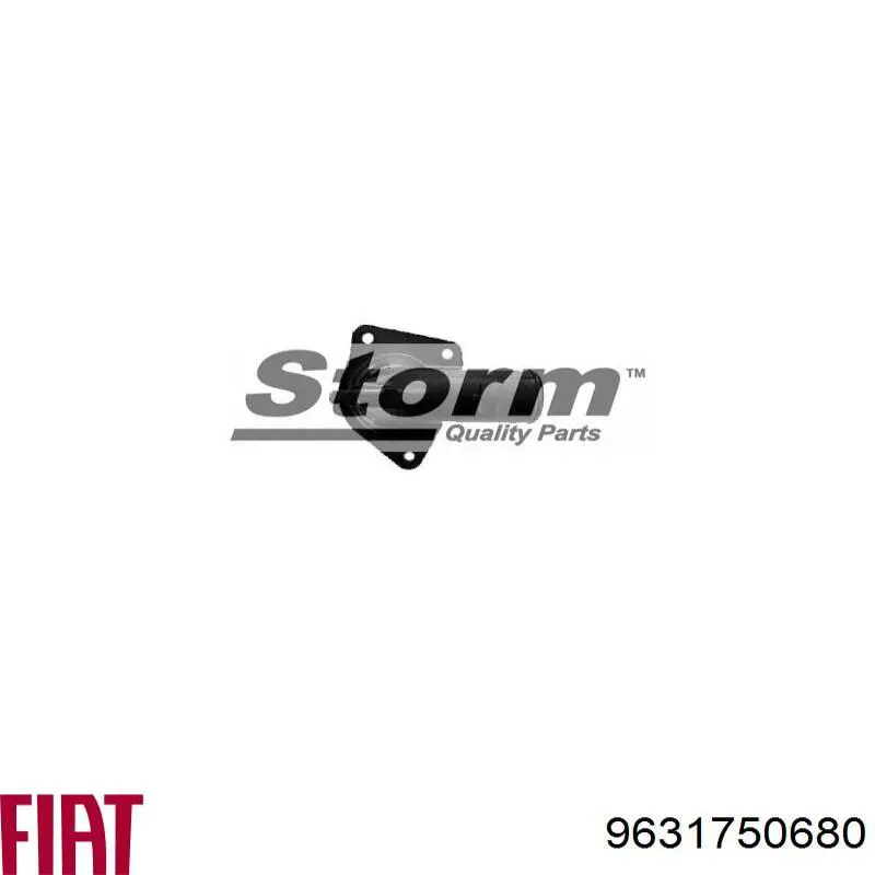 9631750680 Fiat/Alfa/Lancia Водопровідна труба