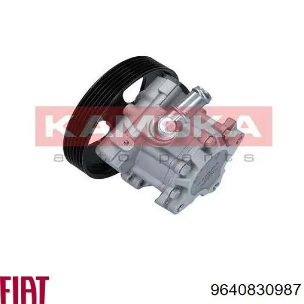 Насос ГПК Fiat/Alfa/Lancia 9640830987 ціна, від 84.31 USD