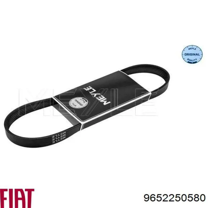 Купити 9652250580 Fiat/Alfa/Lancia Ремінь генератора