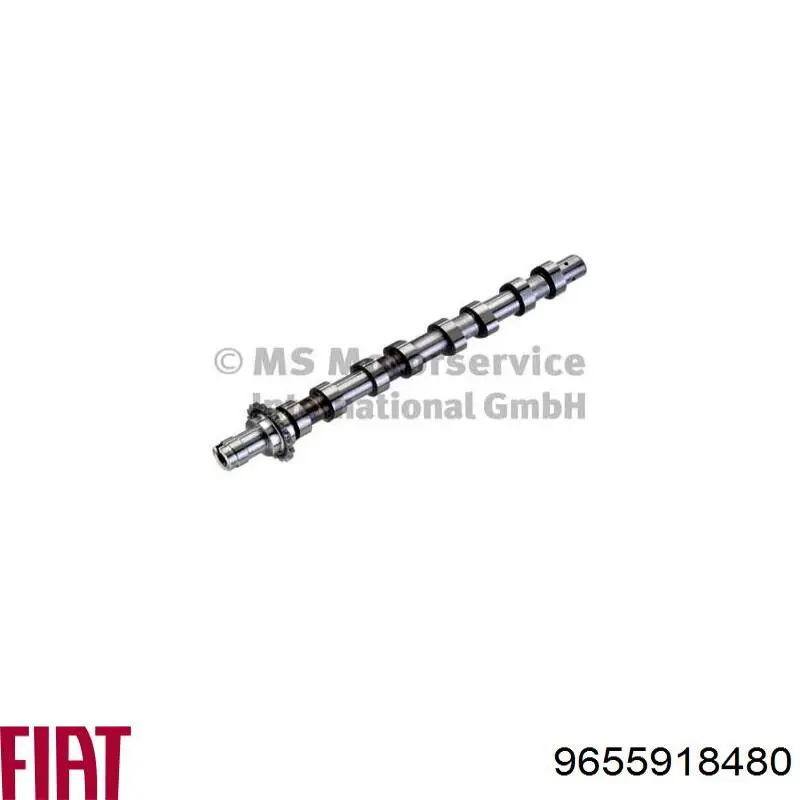 9655918480 Fiat/Alfa/Lancia Шток двигуна, випускний