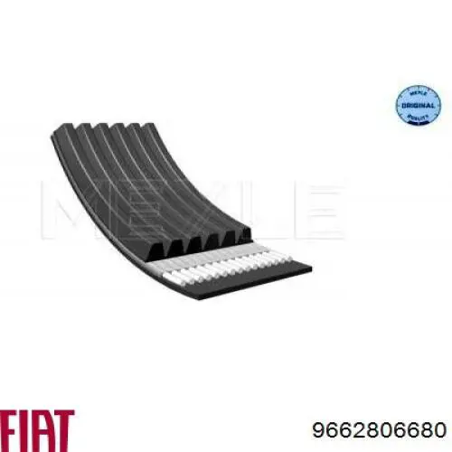 9662806680 Fiat/Alfa/Lancia Поліклиновий ремінь