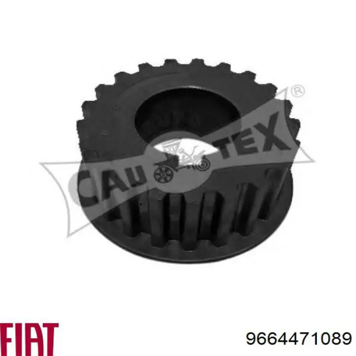Зірочка приводу коленвала двигуна Fiat/Alfa/Lancia 9664471089 ціна, від 13.41 USD