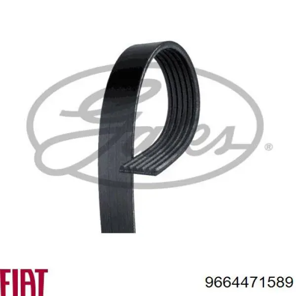 Купити 9664471589 Fiat/Alfa/Lancia Ремінь генератора