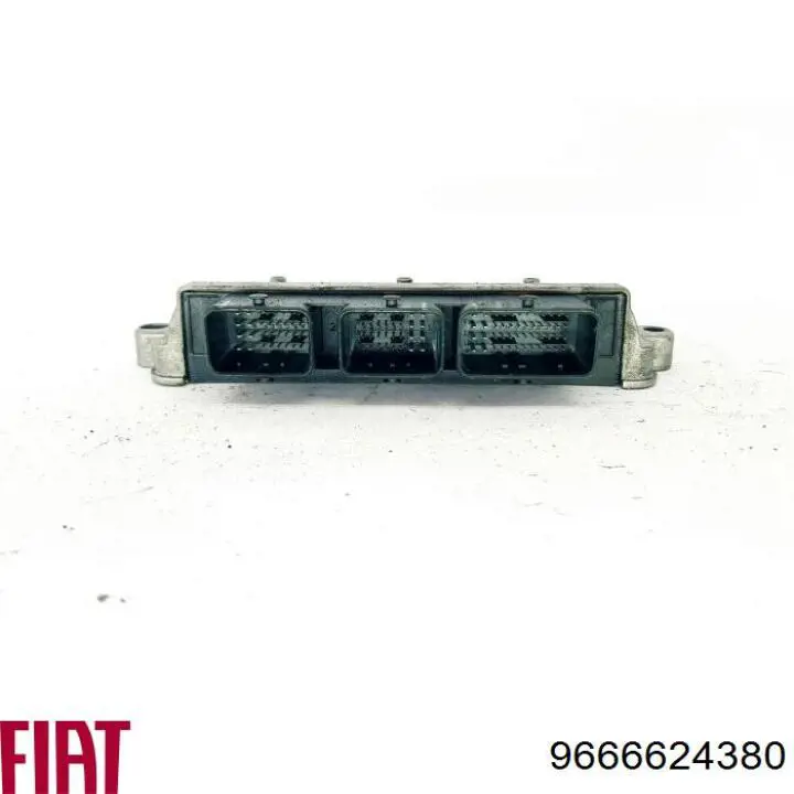 Купити 9666624380 Peugeot/Citroen 