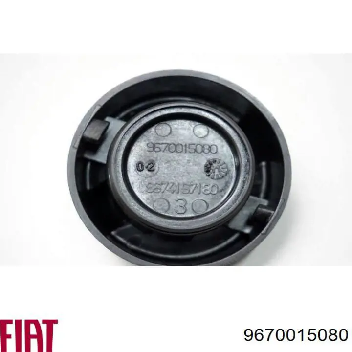 Купити 9670015080 Fiat/Alfa/Lancia 