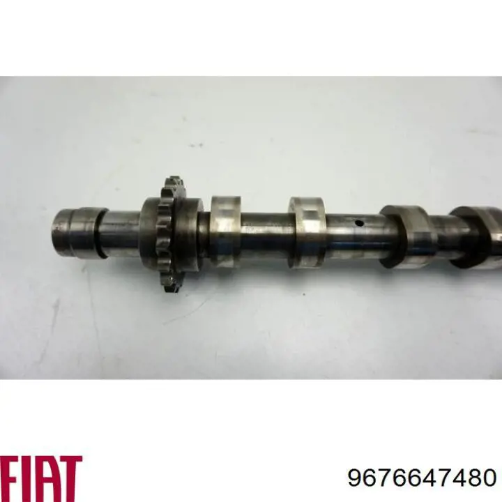 Шток двигуна, впускний Fiat/Alfa/Lancia 9676647480 ціна, від 132.12 USD