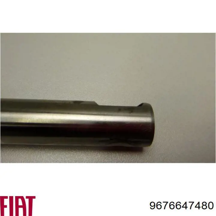 Купити 9676647480 Fiat/Alfa/Lancia Розподільний вал впускний