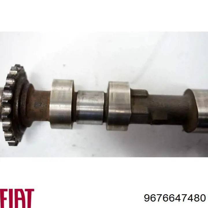 9676647480 Fiat/Alfa/Lancia Розподільчий вал впускний
