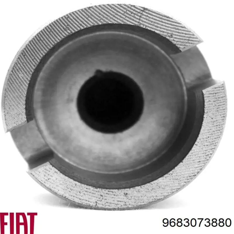 Купити 9683073880 Fiat/Alfa/Lancia Розподільний вал двигуна випускний