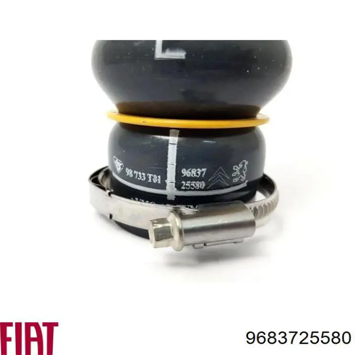 Шланг/патрубок інтеркуллера Fiat/Alfa/Lancia 9683725580 ціна, від 15.96 USD