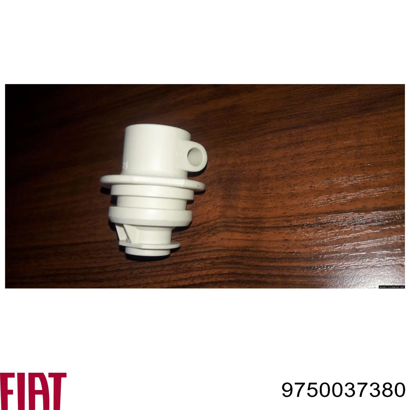9750037380 Fiat/Alfa/Lancia 