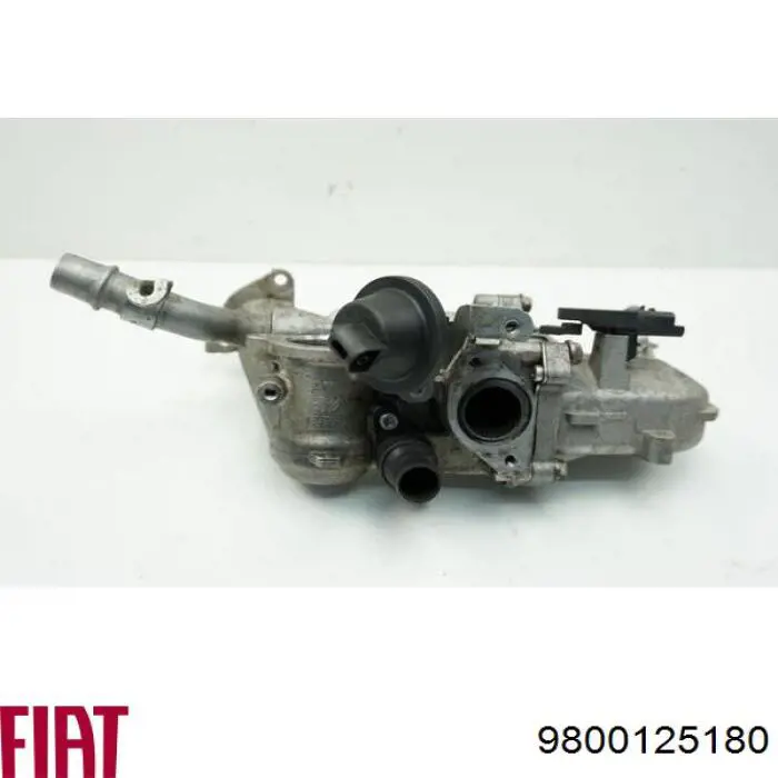 Купити 9800125180 Fiat/Alfa/Lancia Радіатор системи EGR рециркуляції вихлопних газів