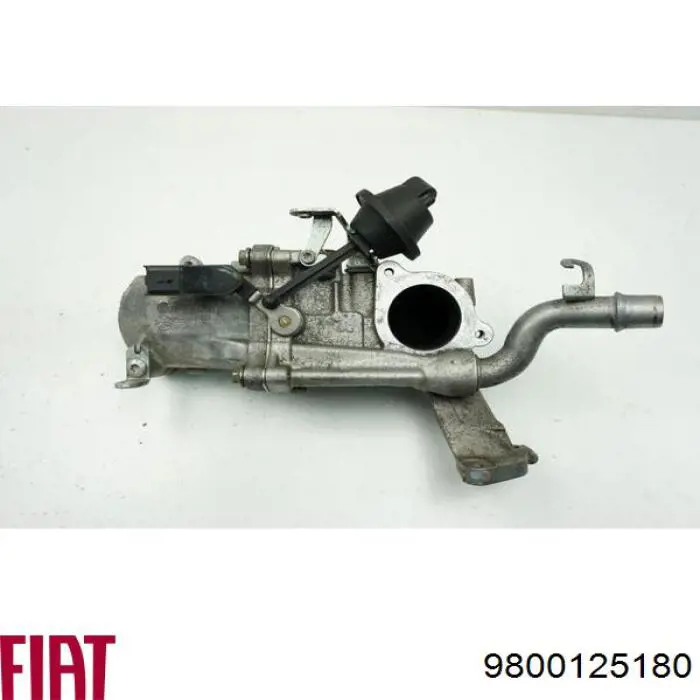 Радіатор системи EGR рециркуляції вихлопних газів Fiat/Alfa/Lancia 9800125180 ціна, від 73.25 USD