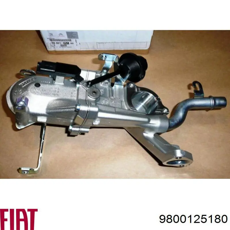 9800125180 Fiat/Alfa/Lancia Радіатор системи EGR рециркуляції вихлопних газів