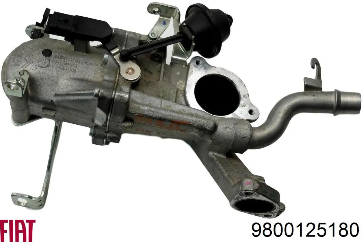 Радіатор системи EGR рециркуляції вихлопних газів 9800125180 Fiat/Alfa/Lancia