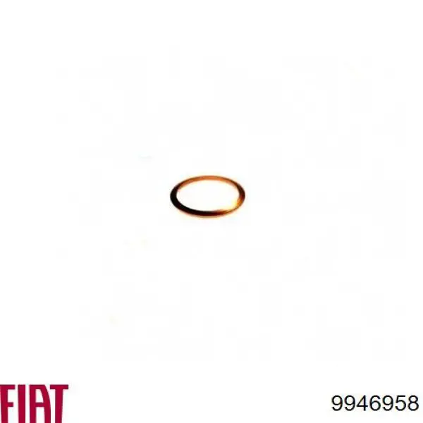 9946958 Fiat/Alfa/Lancia Кільце інжектора