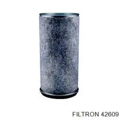 Купити 42609 Filtron Автомобільний фільтр повітря