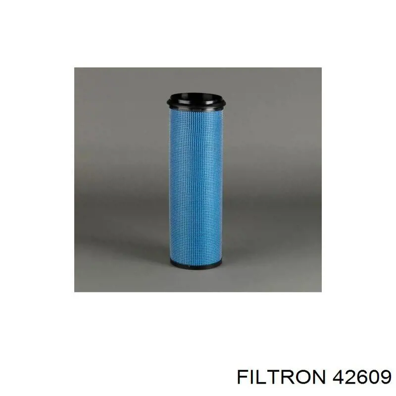 42609 Filtron Повітряний фільтр двигуна