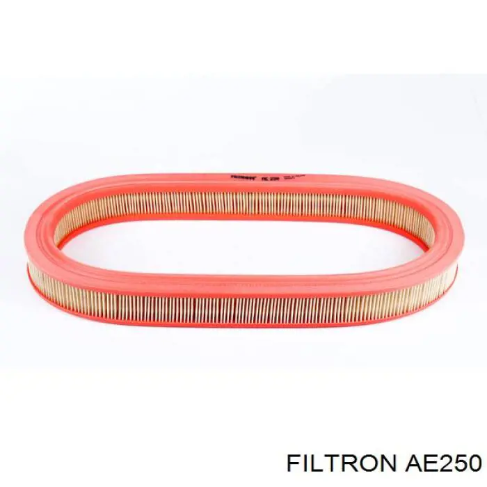 AE250 Filtron фільтр повітряний
