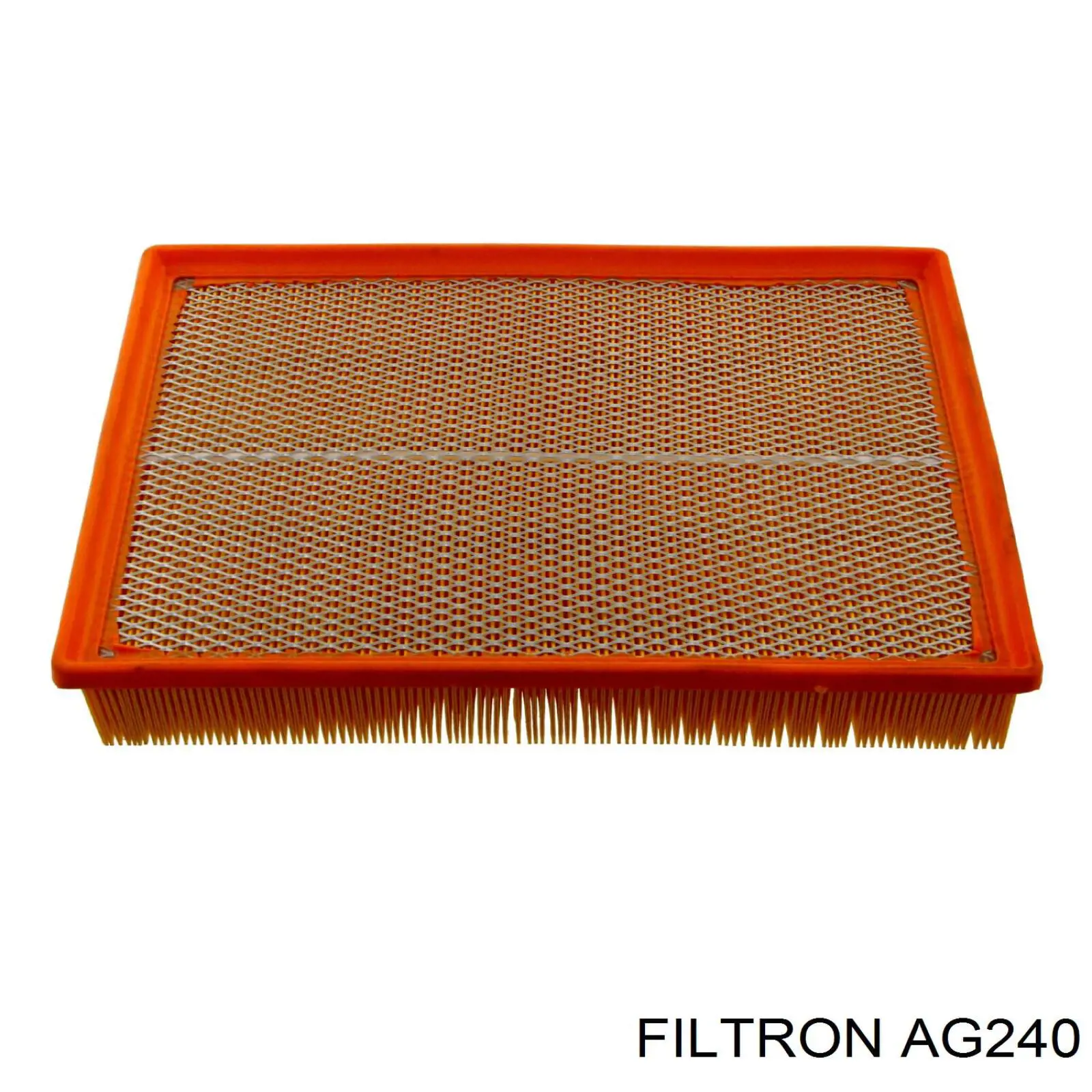 Купити AG240 Filtron Автомобільний фільтр повітря