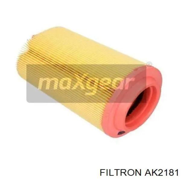 Купити AK2181 Filtron Автомобільний фільтр повітря